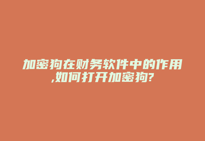 加密狗在财务软件中的作用,如何打开加密狗?-加密狗模拟网