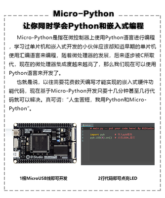 如何用python编程单片机,python单片机编程入门-加密狗模拟网