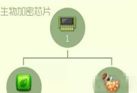 什么是加密方法,什么是加密方法?-加密狗模拟网