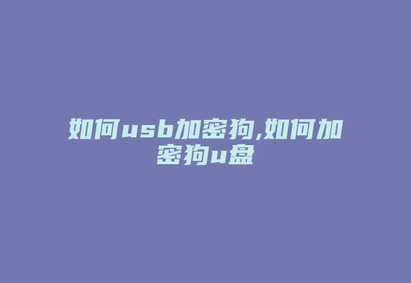 如何usb加密狗,如何加密狗u盘-加密狗模拟网