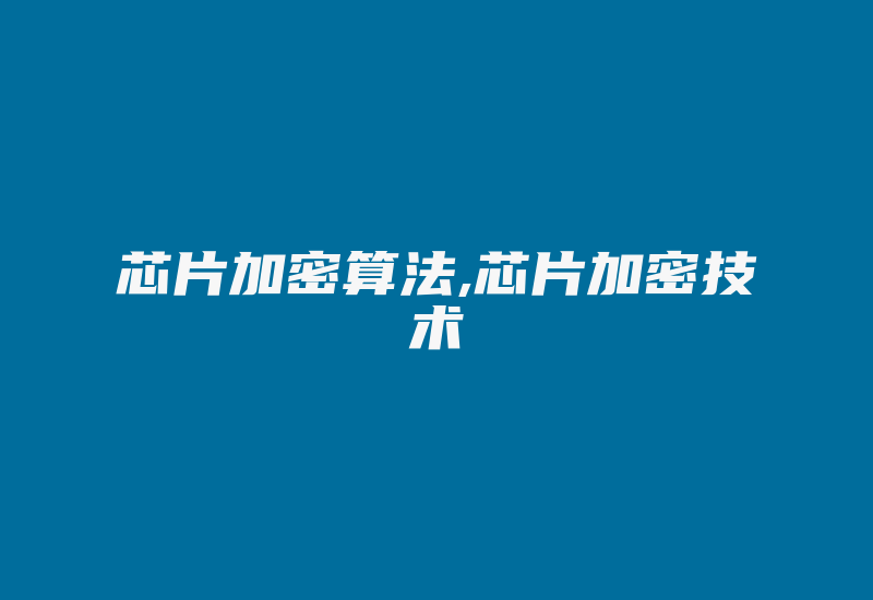 芯片加密算法,芯片加密技术-加密狗模拟网