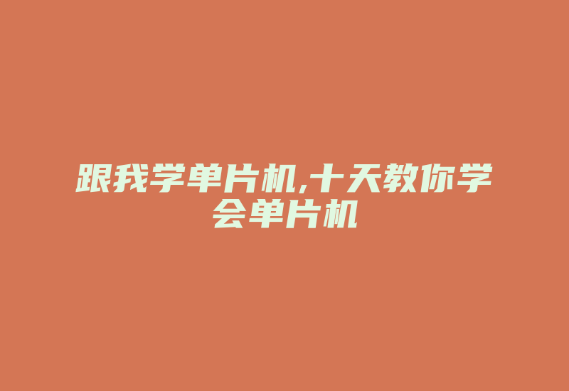 跟我学单片机,十天教你学会单片机-加密狗模拟网