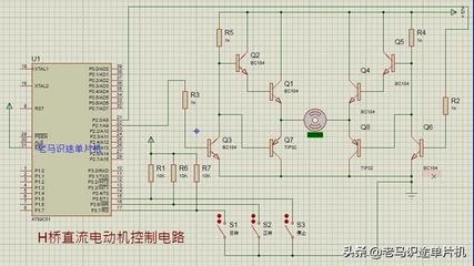 51单片机应用实例详解的介绍,学习单片机怎么样,前途咋样-加密狗模拟网