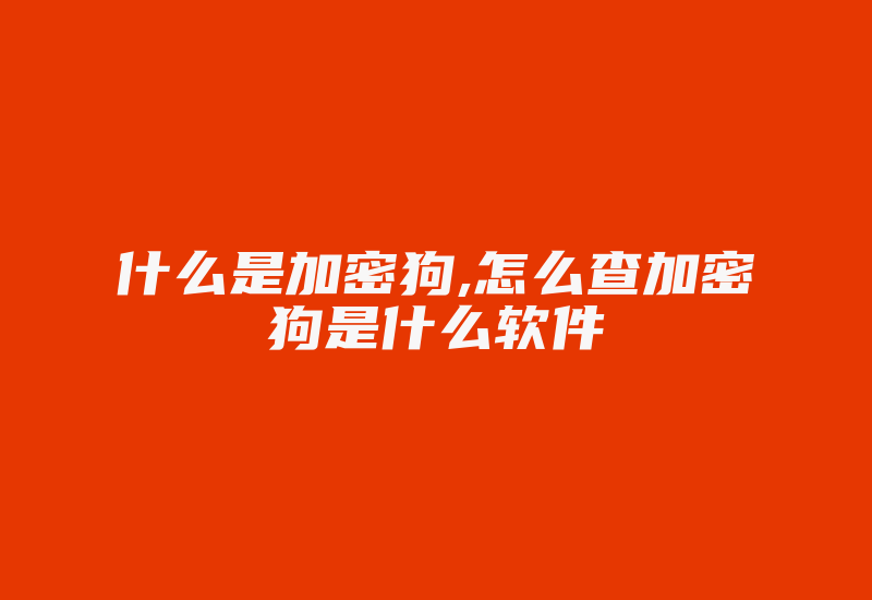 什么是加密狗,怎么查加密狗是什么软件-加密狗模拟网