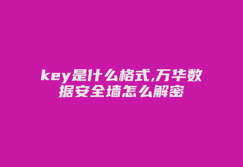 key是什么格式,万华数据安全墙怎么解密-加密狗模拟网