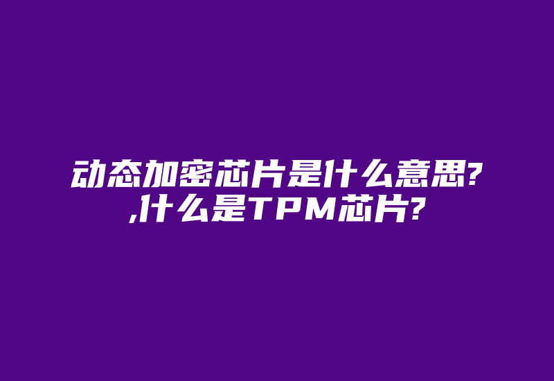 动态加密芯片是什么意思?,什么是TPM芯片?-加密狗模拟网