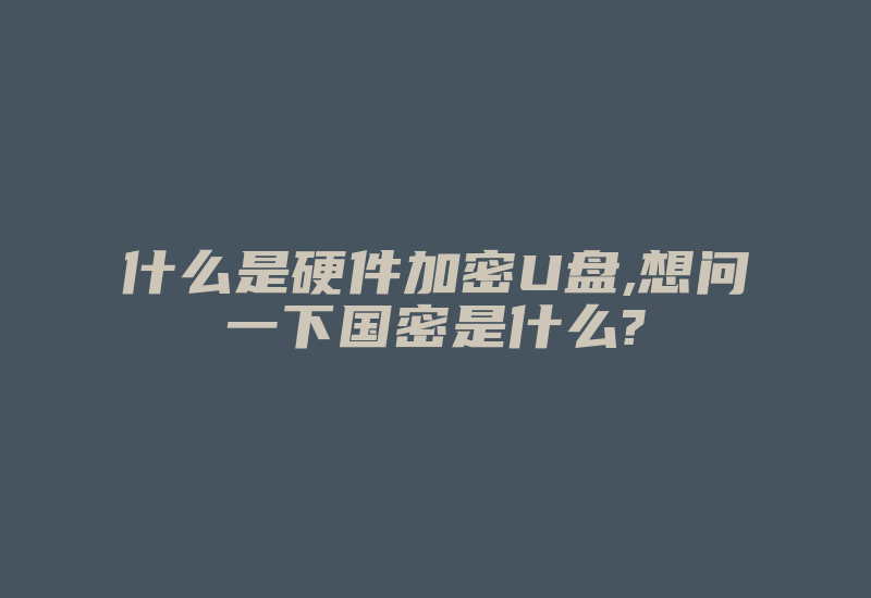 什么是硬件加密U盘,想问一下国密是什么?-加密狗模拟网