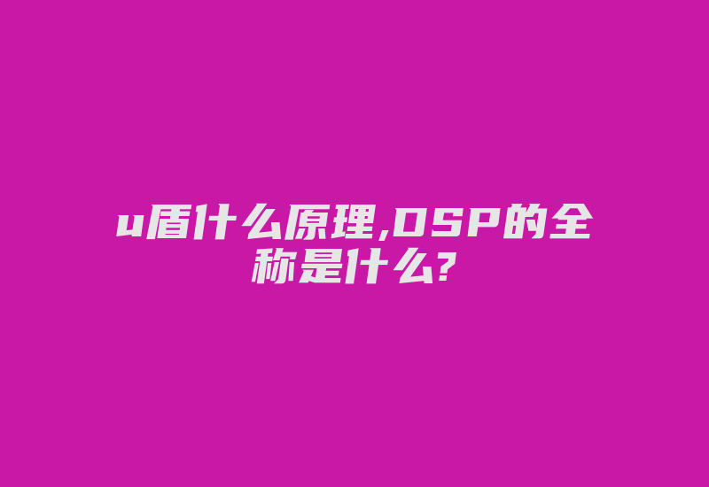 u盾什么原理,DSP的全称是什么?-加密狗模拟网