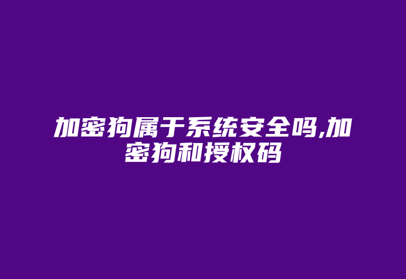 加密狗属于系统安全吗,加密狗和授权码-加密狗模拟网