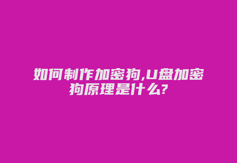 如何制作加密狗,U盘加密狗原理是什么?-加密狗模拟网