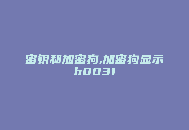 密钥和加密狗,加密狗显示h0031-加密狗模拟网