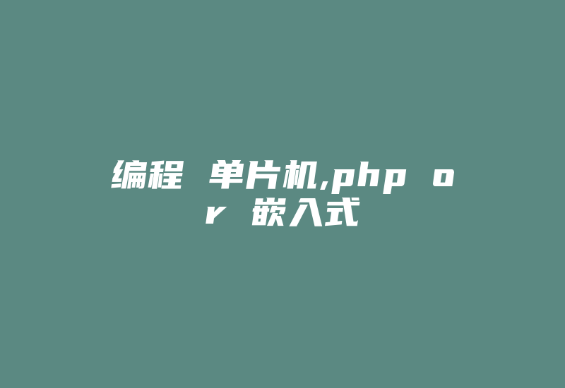 编程 单片机,php or 嵌入式-加密狗模拟网