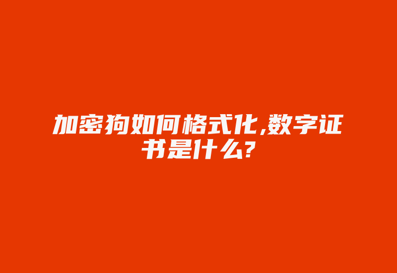 加密狗如何格式化,数字证书是什么?-加密狗模拟网