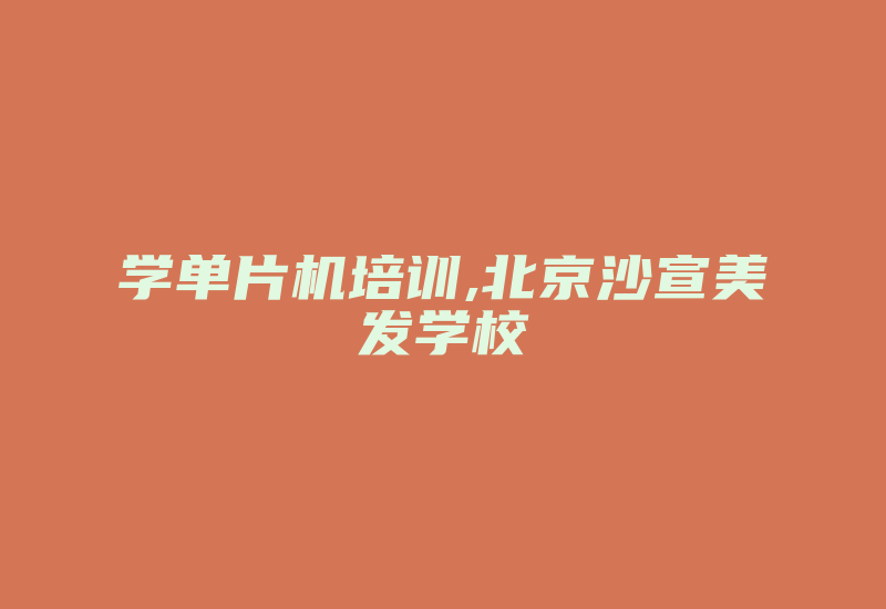 学单片机培训,北京沙宣美发学校-加密狗模拟网